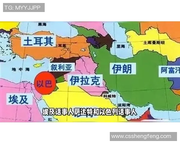 伊朗与叙利亚假球事件揭秘背后的真相与影响分析 伊朗与叙利亚假球事件揭秘背后的真相与影响分析