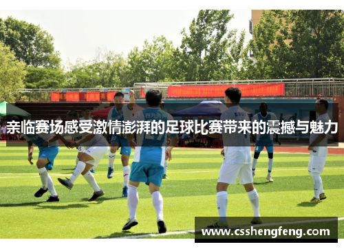亲临赛场感受激情澎湃的足球比赛带来的震撼与魅力